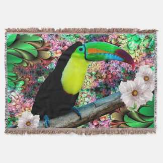Toucan 4 decke
