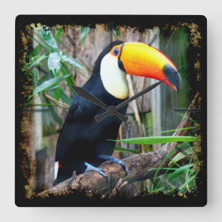 Toucan 5A Wanduhren und zahlreiche Optionen