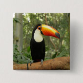 Toucan am Baumzweig Button (Vorderseite)