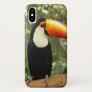 Toucan am Baumzweig Case-Mate iPhone Hülle
