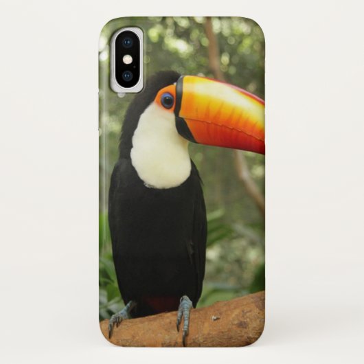 Toucan am Baumzweig Case-Mate iPhone Hülle (Rückseite)