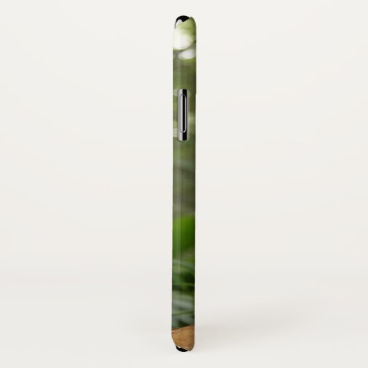 Toucan am Baumzweig Case-Mate iPhone Hülle (Hinten/Rechts)