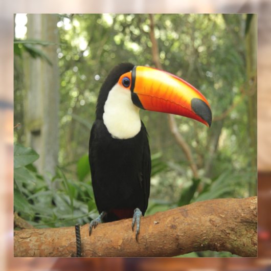 Toucan am Baumzweig Fensteraufkleber (Blatt 2)