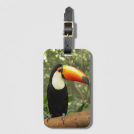 Toucan am Baumzweig Gepäckanhänger