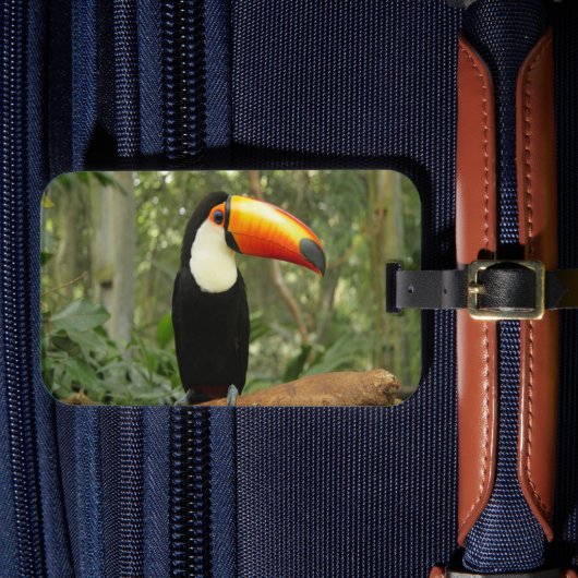 Toucan am Baumzweig Gepäckanhänger (Vorderseite Insitu 4)