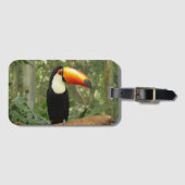 Toucan am Baumzweig Gepäckanhänger (Vorderseite (Horizontal))