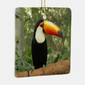 Toucan am Baumzweig Keramikornament (Rechts)