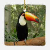 Toucan am Baumzweig Keramikornament (Rückseite)
