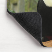 Toucan am Baumzweig Mousepad (Ecke)