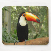Toucan am Baumzweig Mousepad (Vorne)