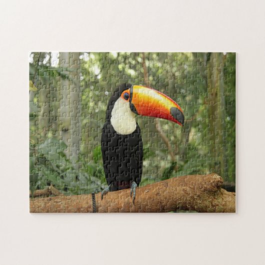 Toucan am Baumzweig Puzzle (Horizontal)