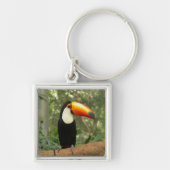 Toucan am Baumzweig Schlüsselanhänger (Vorne)