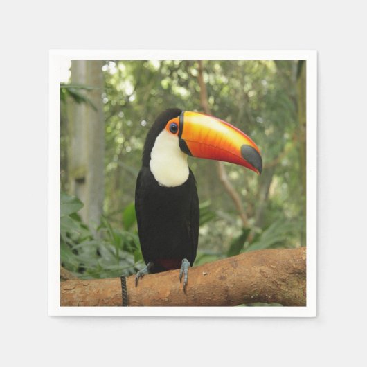 Toucan am Baumzweig Serviette (Vorderseite)