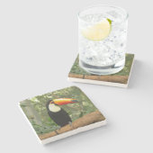 Toucan am Baumzweig Steinuntersetzer (Seitenansicht)