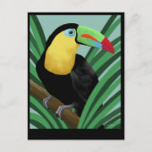 Toucan Art Postkarten (Vorderseite)