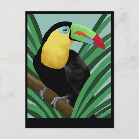Toucan Art Postkarten (Vorderseite)