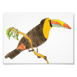 Toucan bei einer Branchendruckmaschine; 7 Zoll x 5 Fotodruck