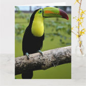 TOUCAN BIRD BIRTHDAY BIG CARD KARTE (Gelbe Blume)