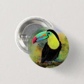 Toucan Bird Button Exotic Tropical Toco (Vorne & Hinten)