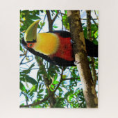 Toucan Bird Jigsaw Puzzle (Vertikal)