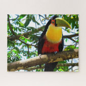 Toucan Bird Jigsaw Puzzle (Horizontal)