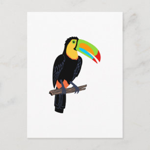 TOUCAN BIRD POSTKARTE