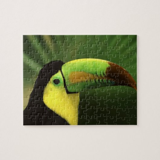 Toucan Bird Puzzle (Horizontal)