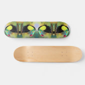 Toucan Bird Skateboard Toco (Horizontal)