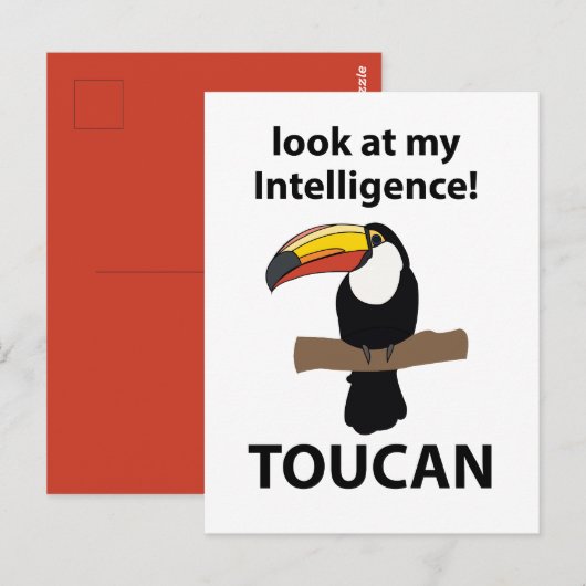 Toucan Bird Tropical Funny Postkarte (Vorne/Hinten)