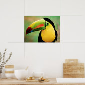 Toucan Bird Wild Nature farbenfrohe Fotografie Poster (Küche)