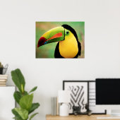 Toucan Bird Wild Nature farbenfrohe Fotografie Poster (Heimbüro)
