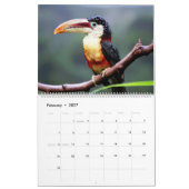 Toucan Birds Calendar Kalender (Feb 2027)
