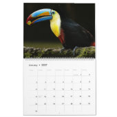 Toucan Birds Calendar Kalender (Jan 2027)