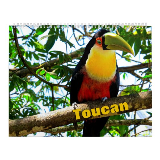 Toucan Birds Calendar Kalender (Titelbild)