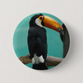 Toucan Button (Vorderseite)