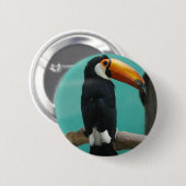 Toucan Button (Vorne & Hinten)