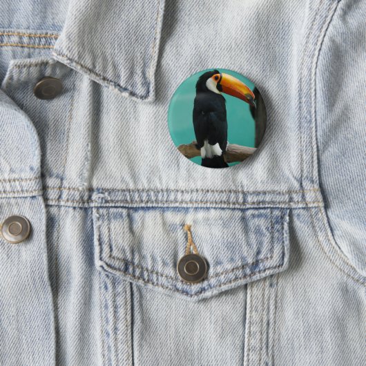 Toucan Button (Beispiel)