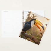 TOUCAN - COFFEE KÖNIGIN PLANER (Anzeige)