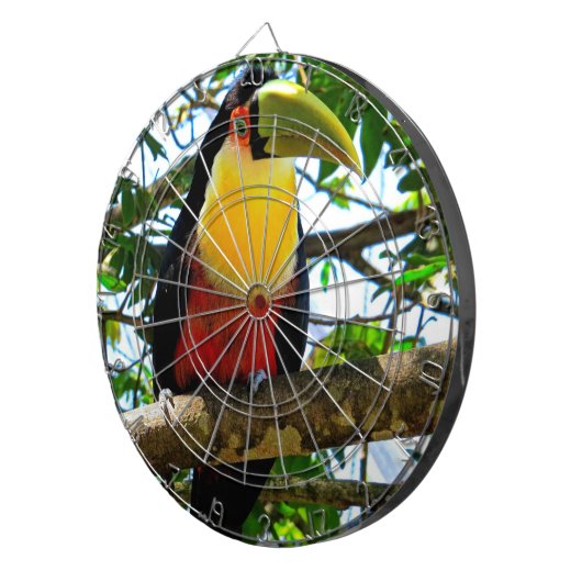 Toucan Dartboard Dartscheibe (Vorderseite rechts)