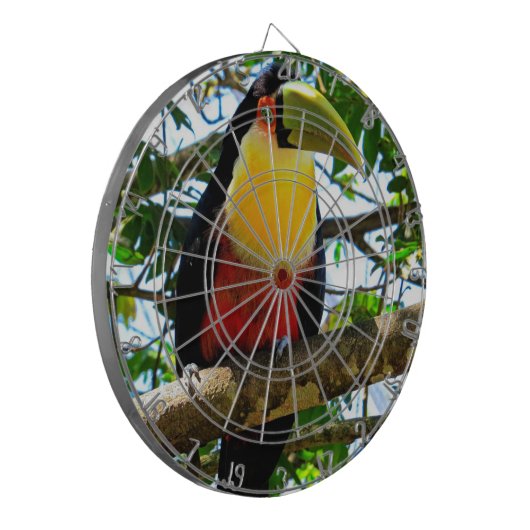 Toucan Dartboard Dartscheibe (Vorderseite Links)