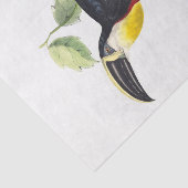 Toucan Decoupage Seidenpapier (Ausschnitt)