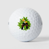 Toucan Duo Golfball (Vorderseite)