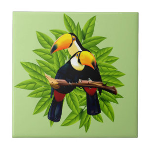 Toucan Duo-Grün Fliese
