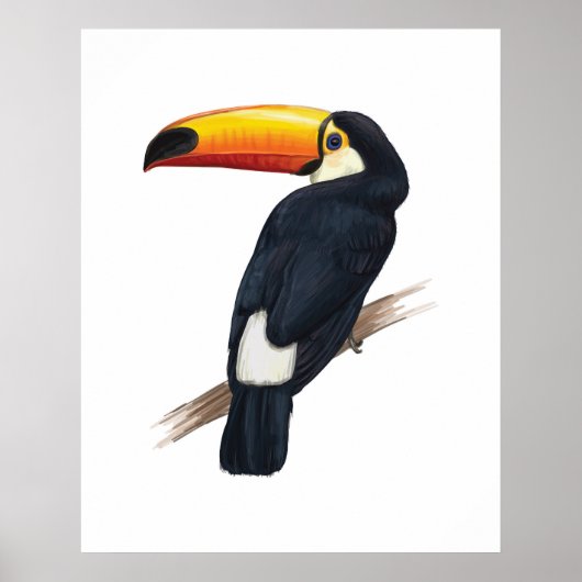 Toucan Exotic Bird Handgezeichnetes Illustrationsp Poster (Vorne)
