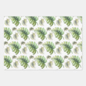 Toucan Exotic Monstera Aquarellbilder Geschenkpapier Set (Vorderseite 2)