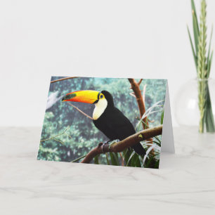 Toucan Feiertagskarte
