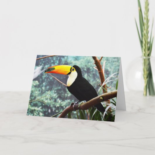 Toucan Feiertagskarte (Vorderseite)