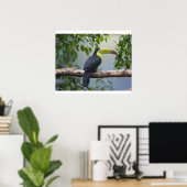 Toucan Foto Poster (Heimbüro)