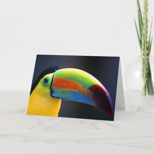 Toucan-Gruß Karte (Vorderseite)