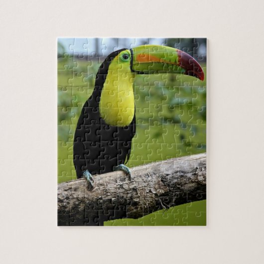 TOUCAN Jigsaw Puzzle (Vertikal)